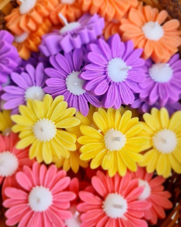 Colorful Daisy Flower Candle For Gifting – Set of 5