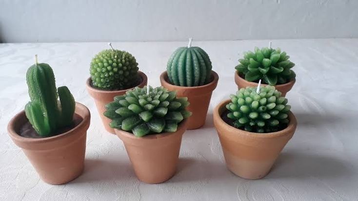 Mini Cactus Candles - Set Of 4 -
